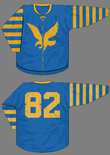 EAGLES JERSEY (2).png