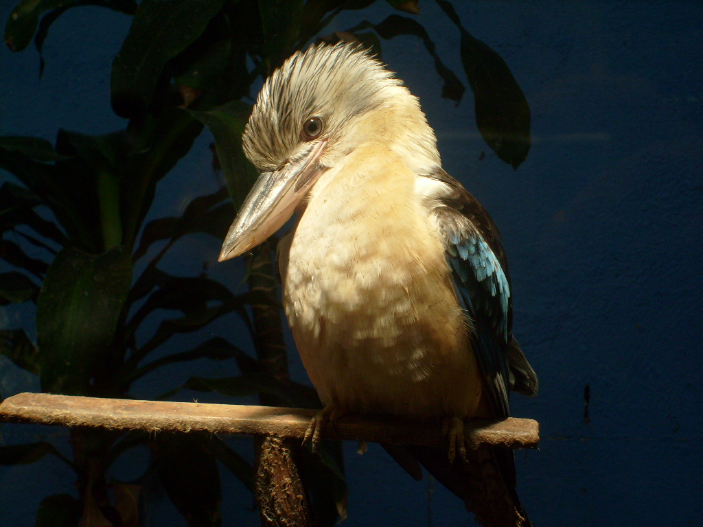 S7300165.JPG