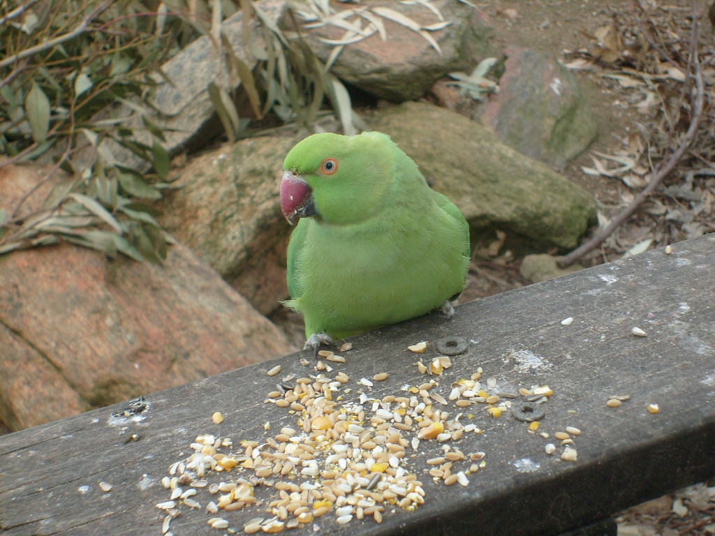 S7300034.JPG