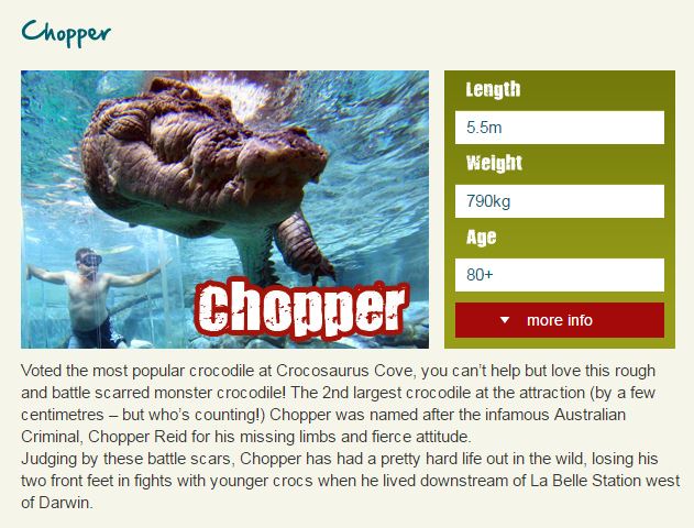 Chopper.JPG