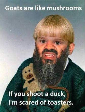 FB_IMG_1475373156786.jpg