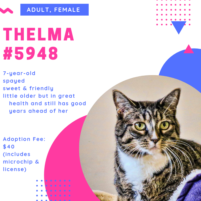 thelma-5948.png