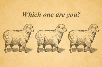 baaaaaaa.jpg