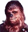 Chewie.jpg