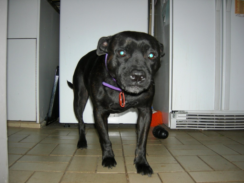 miscellaneous290409 012.jpg