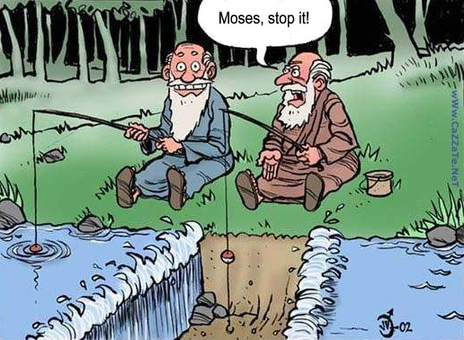 fish.jpg