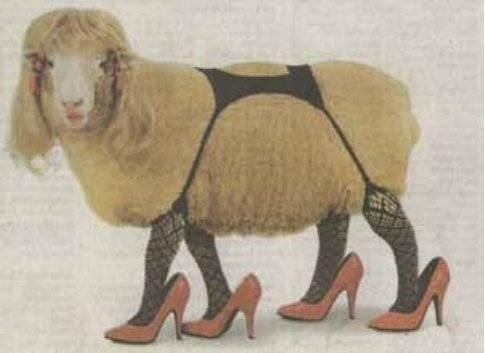 Nz hooker.jpg