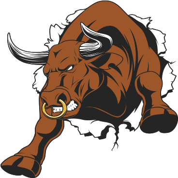 274-2741159_bull-riding-chicago-bull-snorting.png