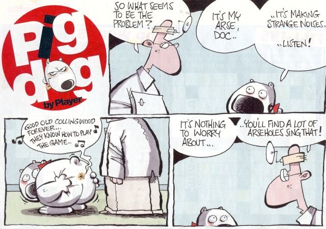 dog.jpg