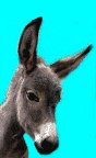 farm_49.gif