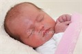 My Baby 2.jpg