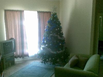 14112009.jpg