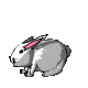 bunny04.gif