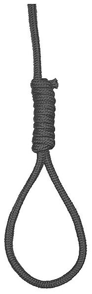 Hangmans_Noose.jpg