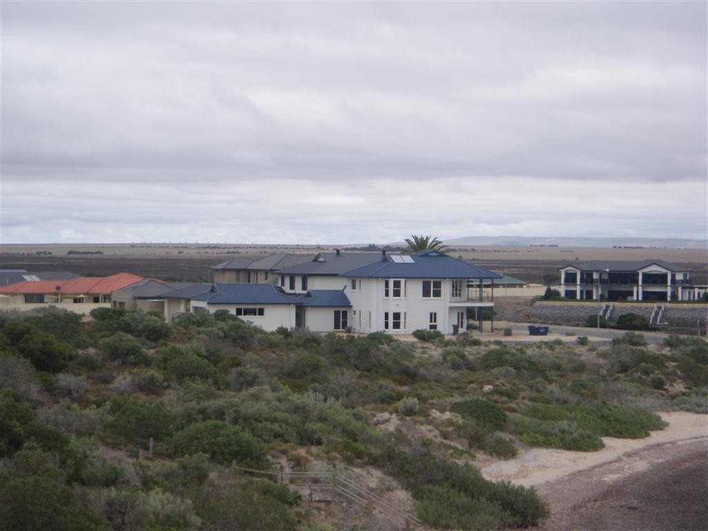 P3190005 (Large).JPG