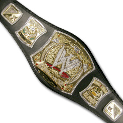 wwe_spinner_belt.jpg