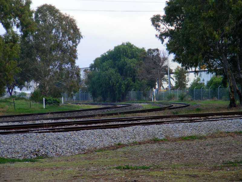 DSCF8577.jpg