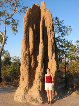 lf_termite.jpg