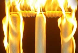 ashes_fire_wt_r_1.jpg