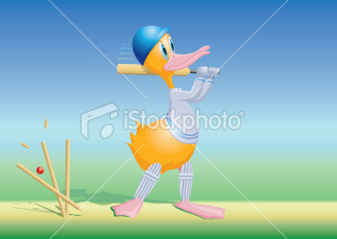 duck.jpg