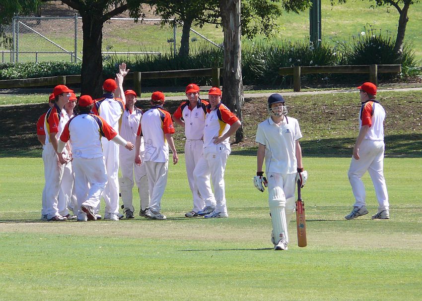SA wicket vs NSW B.jpg