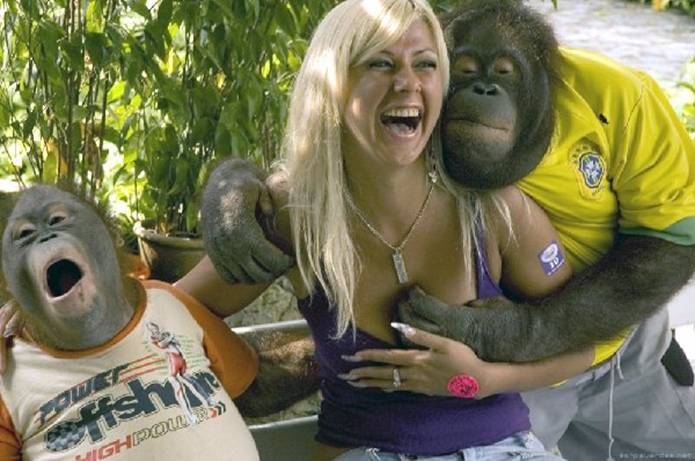 chimp.jpg