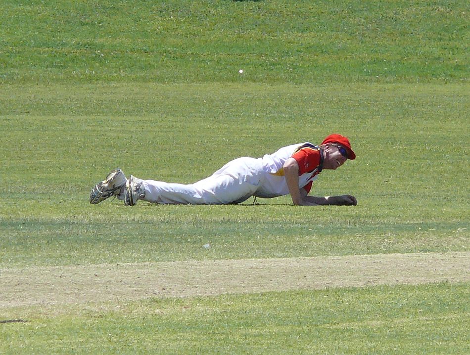 Cougs laying around.jpg