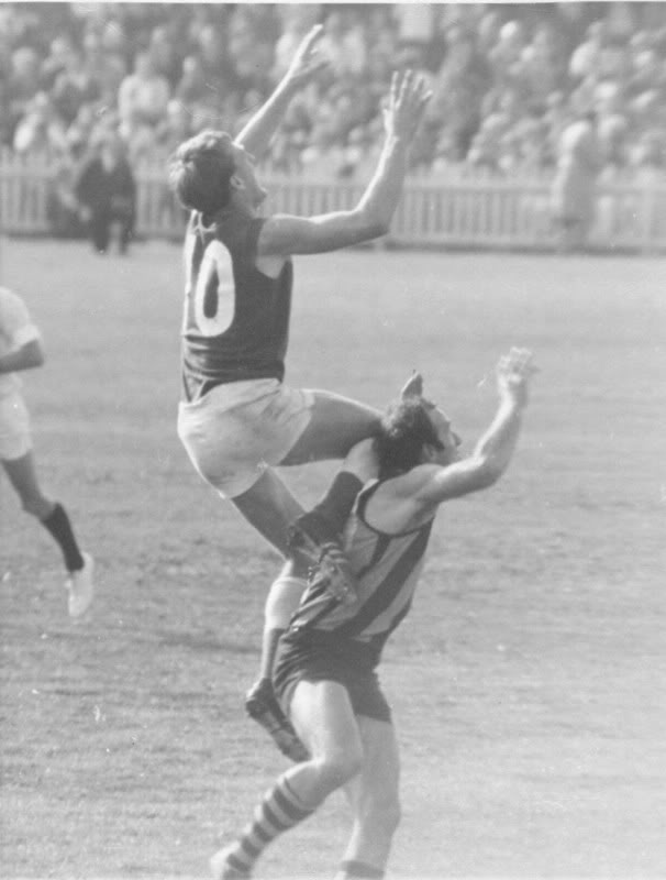 robranvshawthorn.jpg