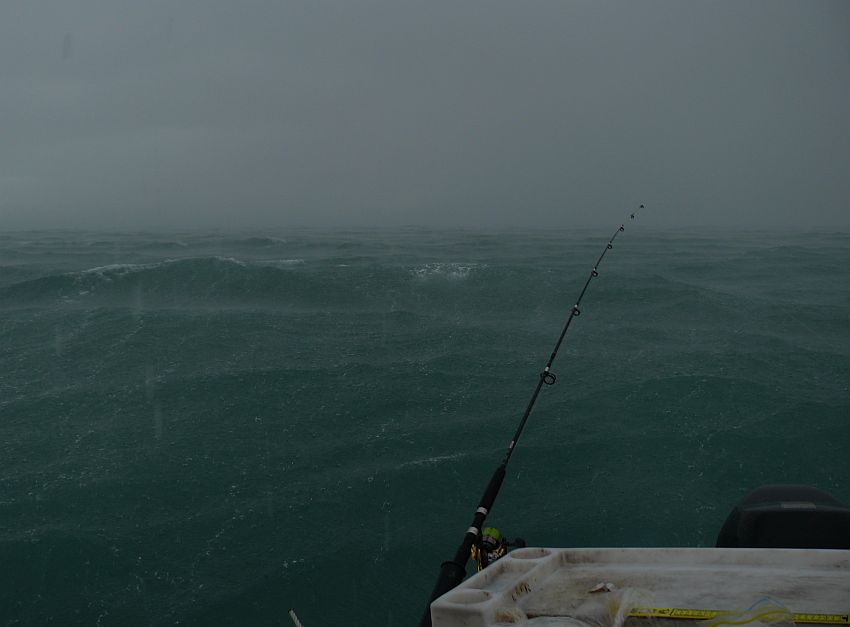 Flotilla_10_Squall1.jpg
