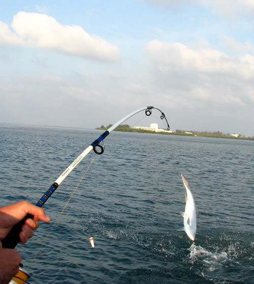 key-west-fishing.jpg