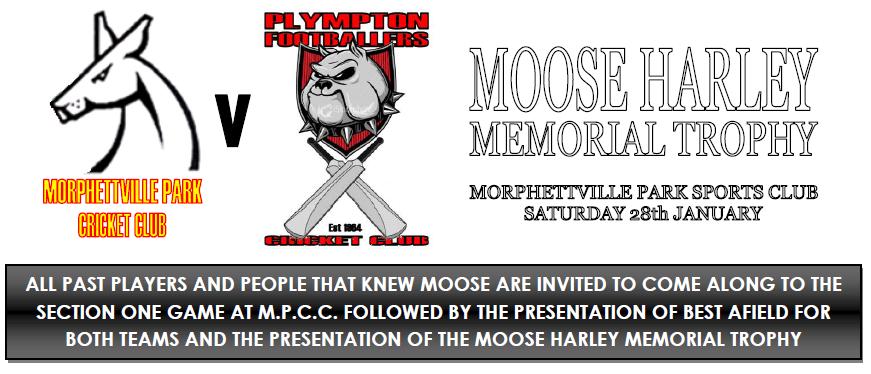 MOOSE.JPG