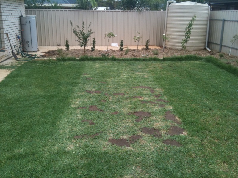 photo5.jpg