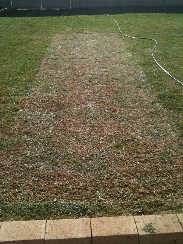 photo11.jpg