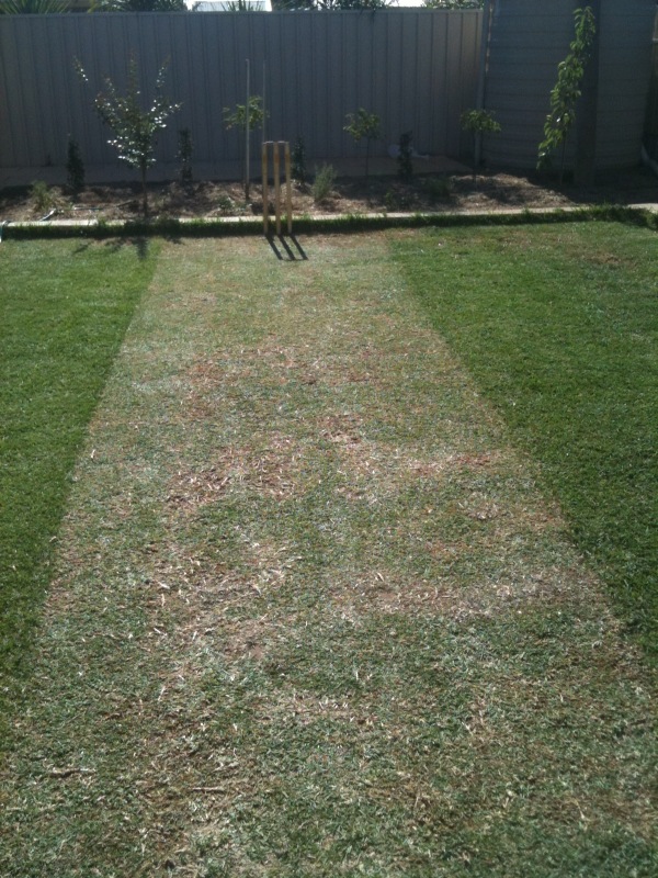 photo8.jpg