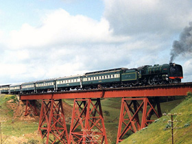 9002291-100.jpg