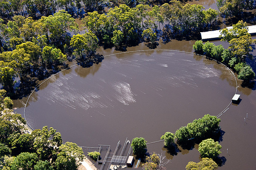 flooded oval.jpg
