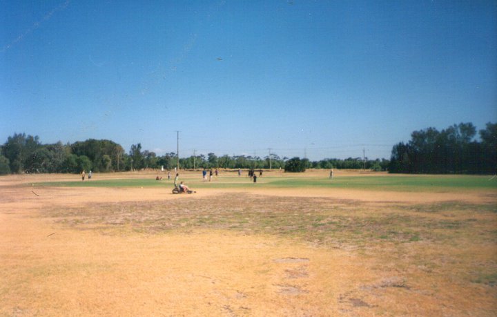 n2.jpg