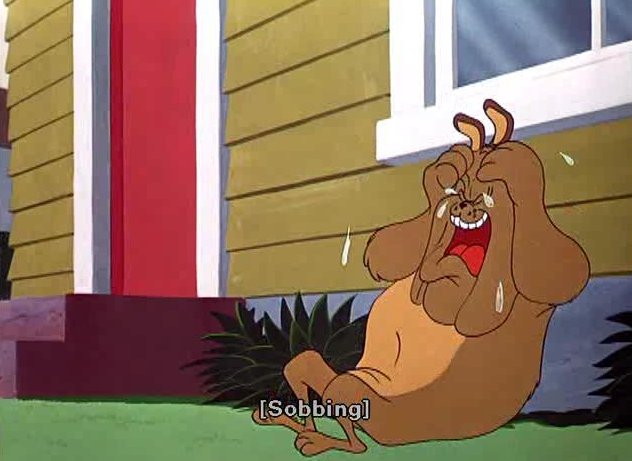 bulldog crying 1.jpg