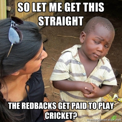 redbacks meme.jpg