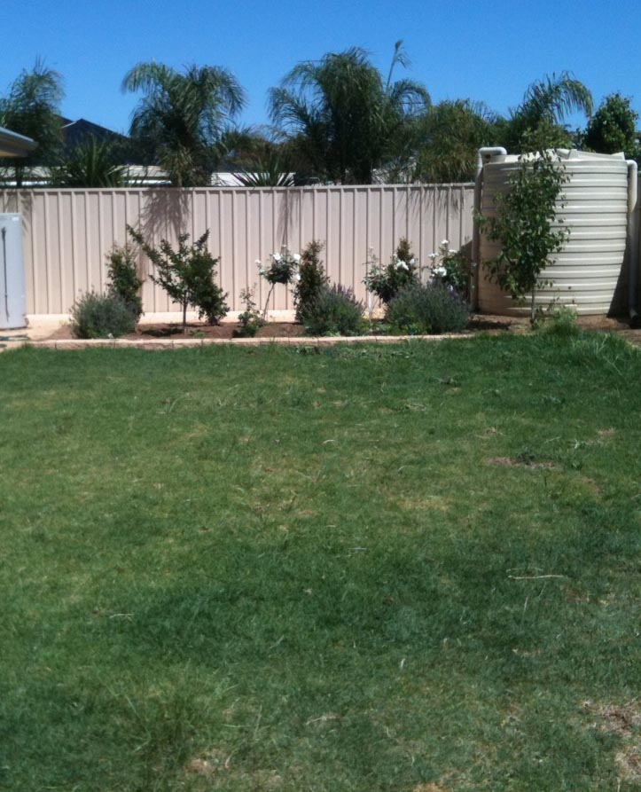 pitch before.jpg