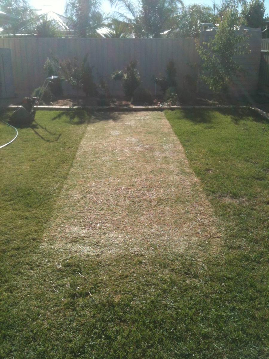 pitch1.jpg