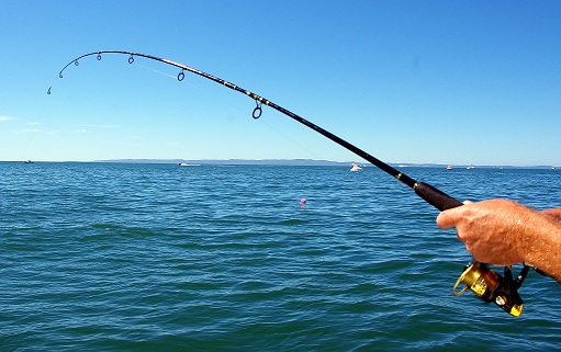 catching-a-fish1.JPG