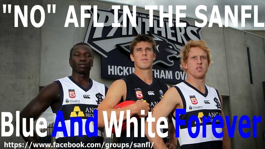BeFunky_088548-panther-players.jpg.jpg