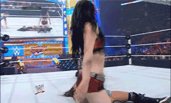 lesnar122888.gif
