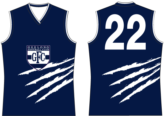 Geelong-Clash-2007.gif