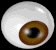 Eye05a.gif