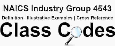 NAICS-4-Digit-Industry-Group-4543.jpg
