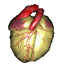 Heart2.gif
