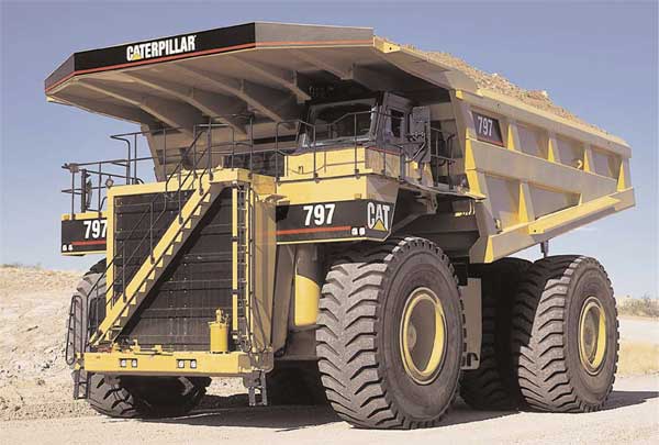 cat797.jpg