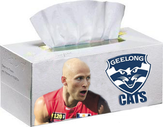 Geelong.jpg